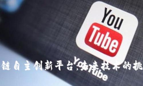 解密区块链自主创新平台：未来技术的挑战与机遇