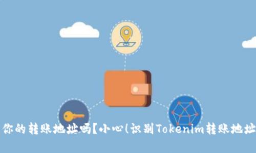 你信任你的转账地址吗？小心！识别Tokenim转账地址的真伪