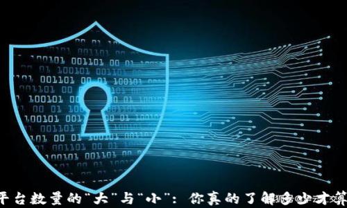 
区块链平台数量的“大”与“小”: 你真的了解多少才算“高”吗？