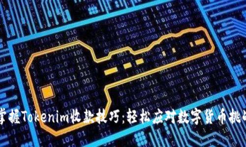 掌握Tokenim收款技巧：轻松应对数字货币挑战