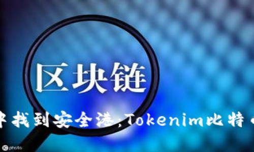 如何在数字资产的海洋中找到安全港：Tokenim比特币冷钱包的终极解决方案