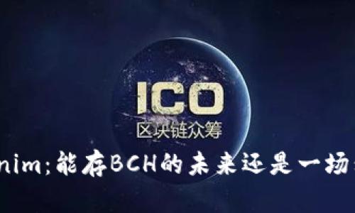 Tokenim：能存BCH的未来还是一场幻梦？