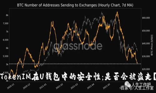 TokenIM在U钱包中的安全性：是否会被盗走？
