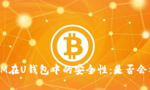 TokenIM在U钱包中的安全性：是否会被盗走？