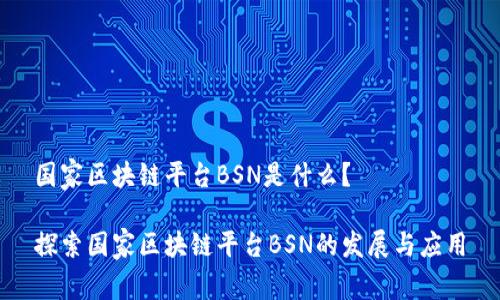 国家区块链平台BSN是什么？

探索国家区块链平台BSN的发展与应用