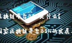 国家区块链平台BSN是什么