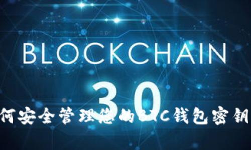   深度解析：如何安全管理您的BTC钱包密钥与imToken应用