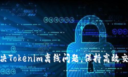 如何解决Tokenim离线问题，保持高效交易体验