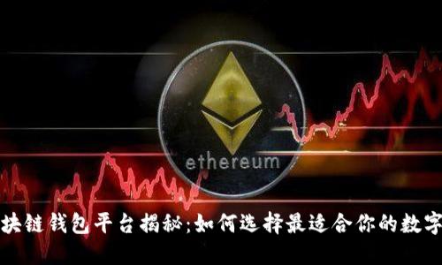 全球最大的区块链钱包平台揭秘：如何选择最适合你的数字资产管理工具