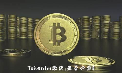 Tokenim激活:是否必要?