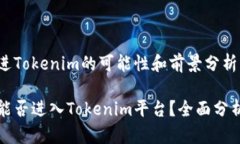 狗狗币进Tokenim的可能性和