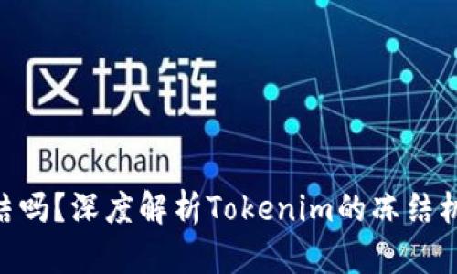 Tokenim能冻结吗？深度解析Tokenim的冻结机制与应用场景