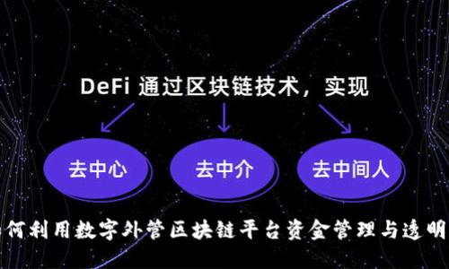 如何利用数字外管区块链平台资金管理与透明度
