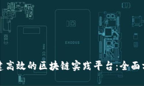 如何构建高效的区块链实践平台：全面方案解析