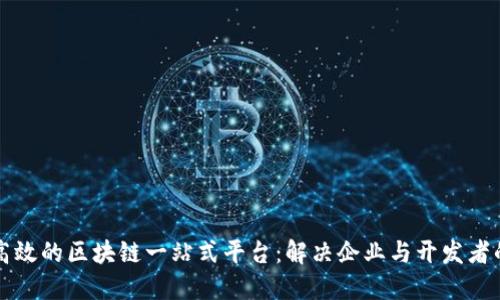 构建高效的区块链一站式平台：解决企业与开发者的需求