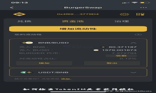 如何检查TokenIM是否获得授权