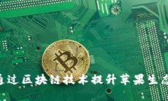 :苹果区块链平台：如何通过区块链技术提升苹果