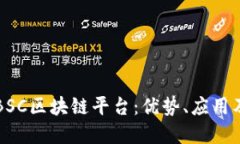 深入探讨BSC区块链平台：