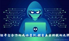 区块链平台合作的成功案例：探索未来科技的无