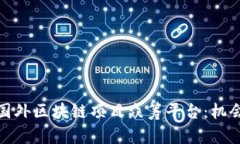 : 探索国外区块链项目众筹平台：机会与挑战