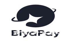 : 玖币区块链交易平台：开启数字资产交易新纪元