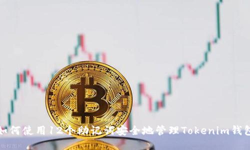 如何使用12个助记词安全地管理Tokenim钱包