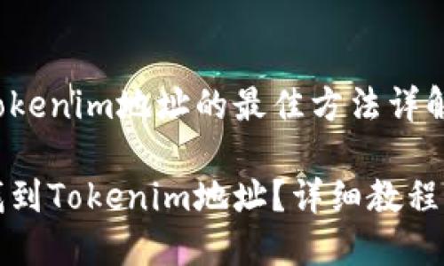 找到Tokenim地址的最佳方法详解

如何找到Tokenim地址？详细教程与技巧