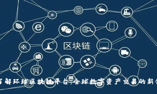 深入了解环球区块链平台：全球数字资产交易的新领航者