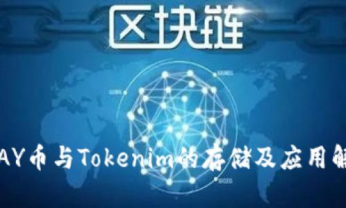  PAY币与Tokenim的存储及应用解析
